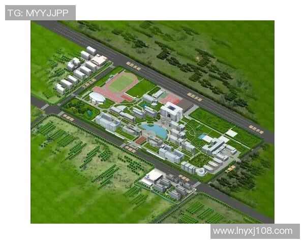 杭州篮球队杯赛技术分析与表现评估全景解读